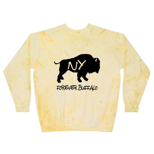Discover Forever Buffalo NY Blast Sweatshirts