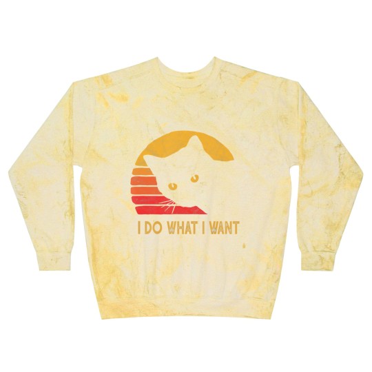 Discover Retro I do what I want with my cat funny gift Blast Sweatshirts