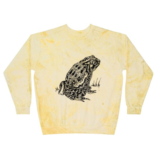 Discover Toad 2 Blast Sweatshirts, Toad 2 Blast Sweatshirts