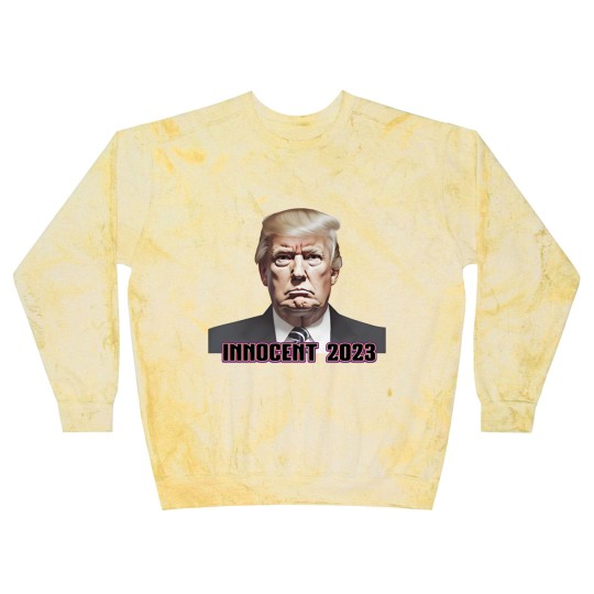 Discover President Donald J. Trump Not Guilty 2023 Indictment Blast Sweatshirts