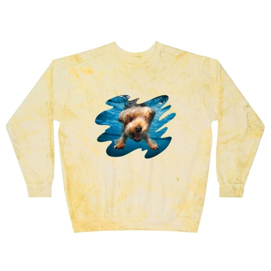 Discover Underwater Dogs Brady by Seth Casteel Blast Sweatshirts