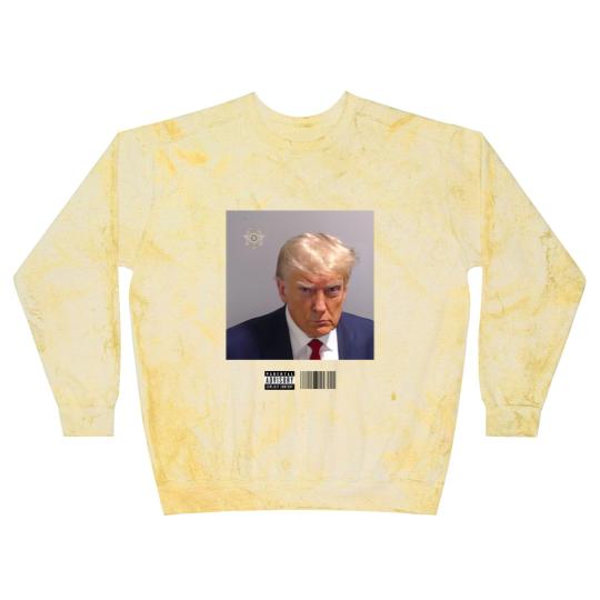 Discover Donald Trump Mugshot Blast Sweatshirts
