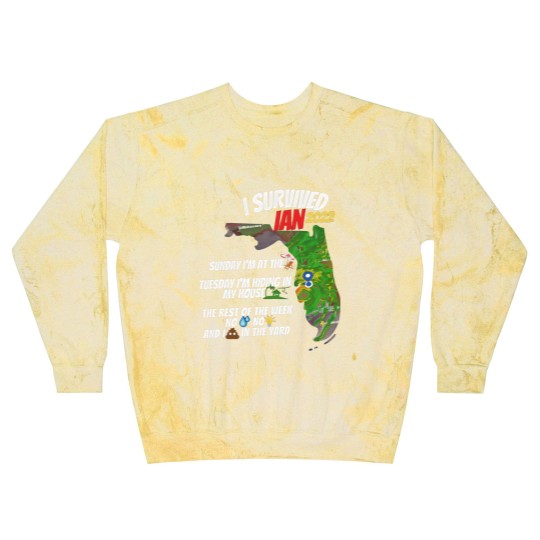Discover I Survived Hurricane Ian Blast Sweatshirts