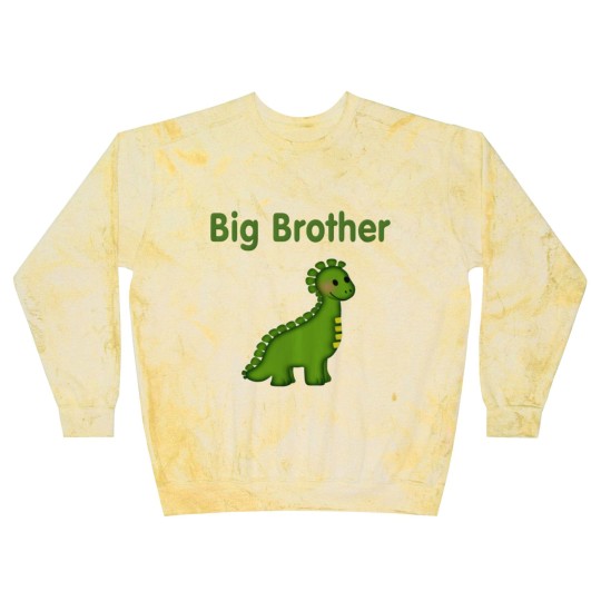Discover Dino Big Brother Blast Sweatshirts