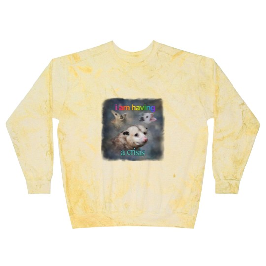 Discover I am having a crisis possum word art Classic Blast Sweatshirts