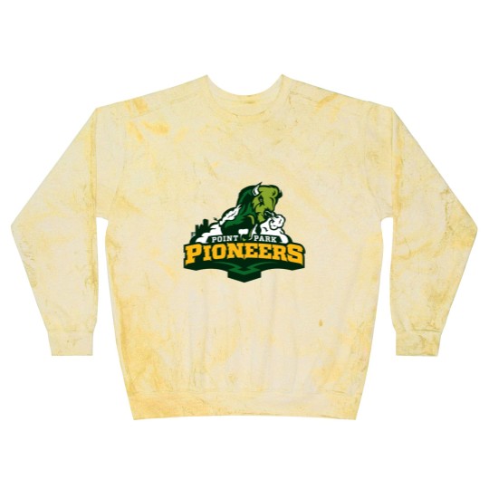 Discover Point Park Pioneers College Sport Team Blast Sweatshirts
