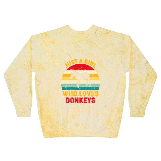 Discover Just A Girl Who Loves Donkeys Retro Sunset Donkey Lovers Blast Sweatshirts