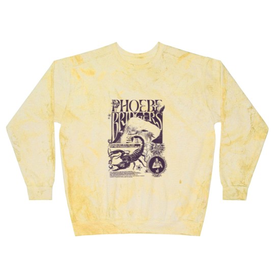 Discover Phoebe Bridgers I Know The End Punisher Merch Lyric Blast Sweatshirts