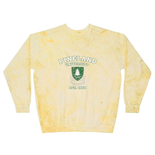 Discover Pineland University Vintage Graphic Blast Sweatshirts