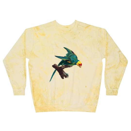 Discover Carolina parakeet Blast Sweatshirts