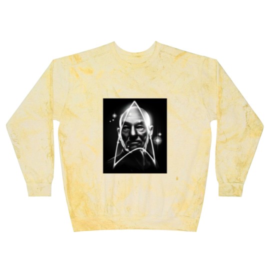 Discover THE CAPTAIN - Captain Picard - Blast Sweatshirts