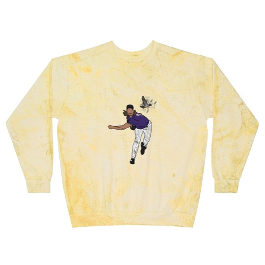 Discover Randy Johnson Hits A Bird Blast Sweatshirts