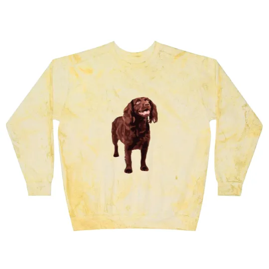 Discover Boykin Spaniel Blast Sweatshirts Blast Sweatshirts