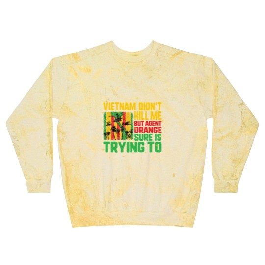 Discover Vietnam Veteran Blast Sweatshirts, Vietnam Didn't Kill Me, Blast Sweatshirts