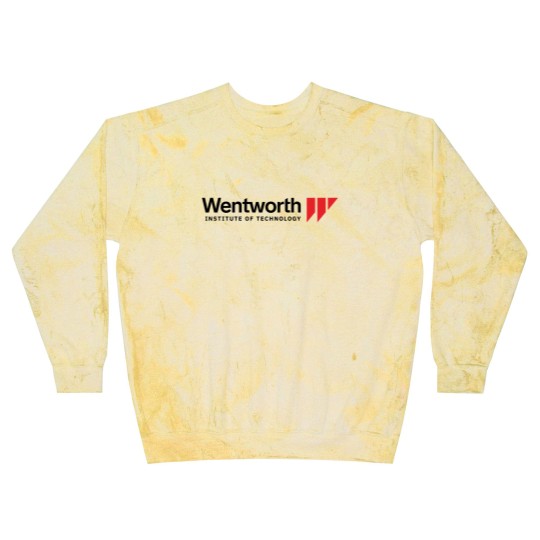 Discover Wentworth Institute of Technology Blast Sweatshirts