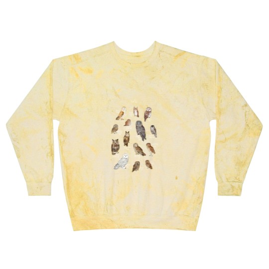 Discover Owls Blast Sweatshirts