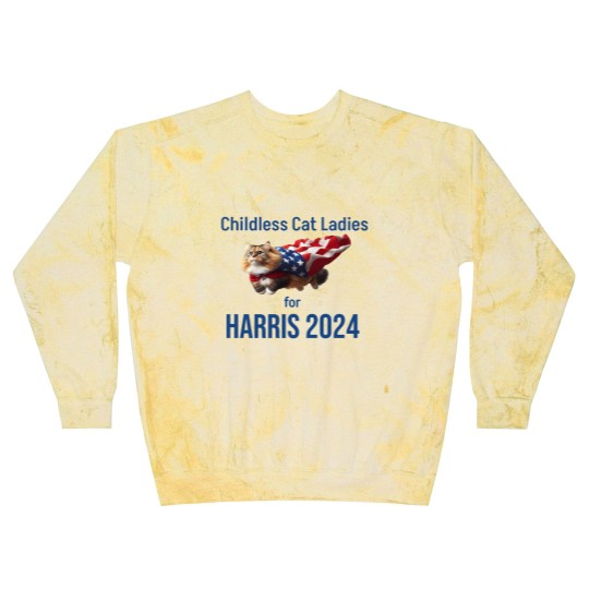 Discover Childless Cat Ladies for Harris 2024 Blast Sweatshirts