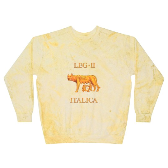Discover 2nd Roman Legion II Italica Blast Sweatshirts