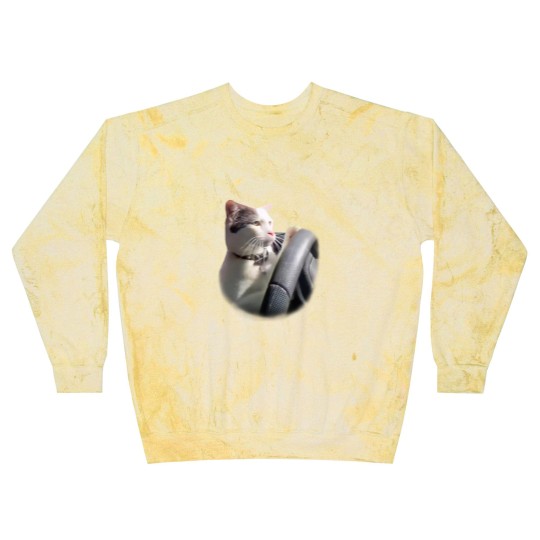 Discover Cat Driving A Car Instagram Katze Blast Sweatshirts