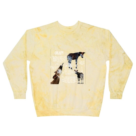 Discover Animal Facts - Okapi - Okapi - Blast Sweatshirts