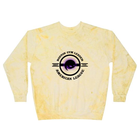 Discover Boston Gym Leader - Blast Sweatshirts