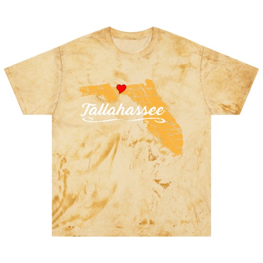 Discover City of Tallahassee Florida | Vacation Souvenir - Graphic Blast T Shirts