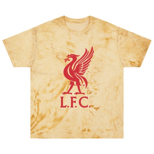 Discover Icon Sports Boy's Soccer Blast T Shirts –  Cotton Short Sleeve World Football Club Casual Active Graphic Youth Kids Top Blast T Shirts