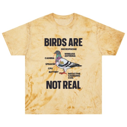 Discover Birds Are Not Real Blast T Shirts