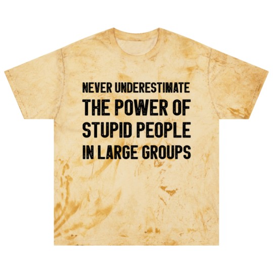 Discover Never Underestimate The Power Of Stupid People Blast T Shirts