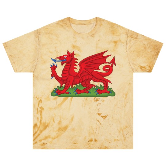 Discover Wales Red Dragon National Flag Symbol Blast T Shirts