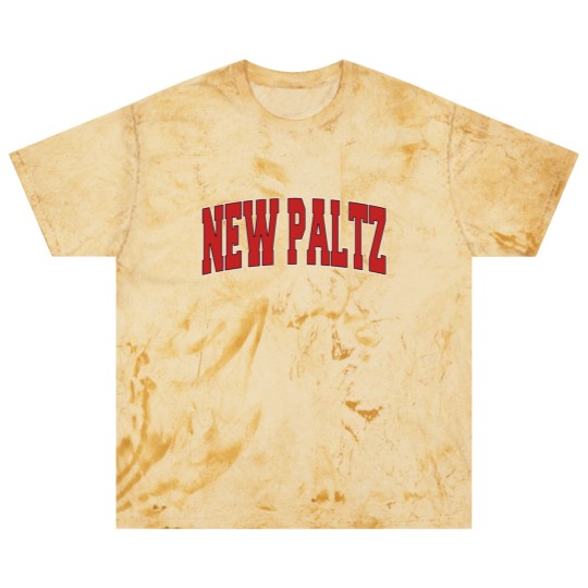 Discover New Paltz Ny New York Varsity Style Usa Vintage Sp Blast T Shirts