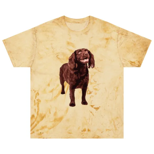Discover Boykin Spaniel Blast T Shirts Blast T Shirts