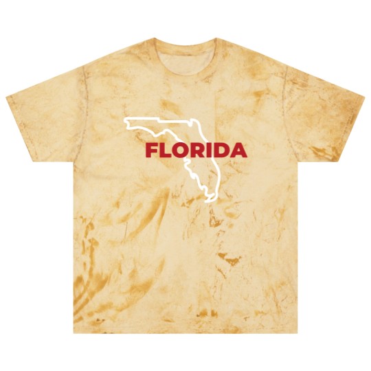 Discover Florida Map Outline - Florida Map - Blast T Shirts