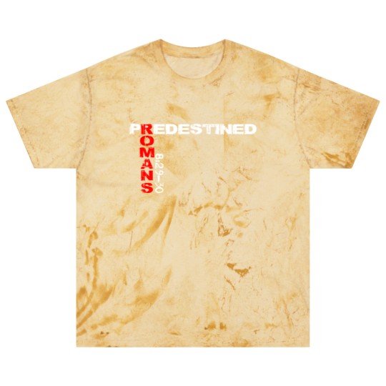 Discover Predestined Romans 8:29-30 Blast T Shirts Blast T Shirts