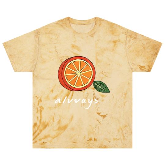 Discover Alvvays Band Merch Blast T Shirts