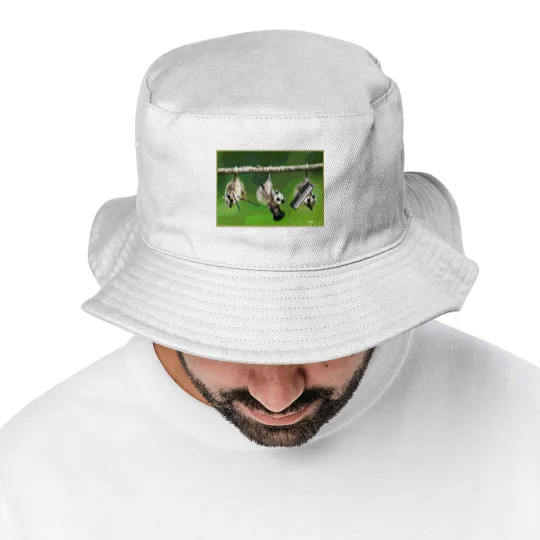Discover the Awesome Possums t Bucket Hats