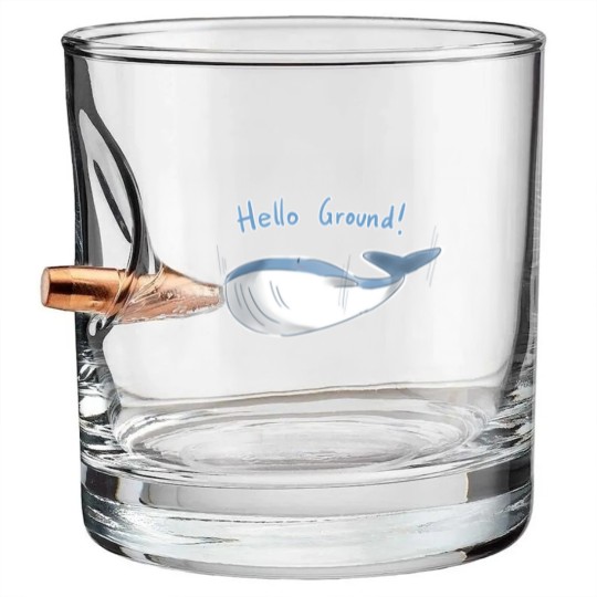 Discover Hitchhikers guide to the galaxy Bullet Whiskey Glasses