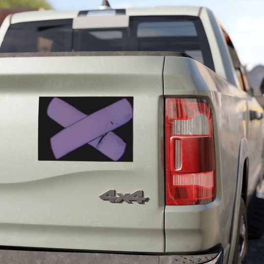 Discover Guts | Guts Tour | Olivia | Rodrigo Car Magnets