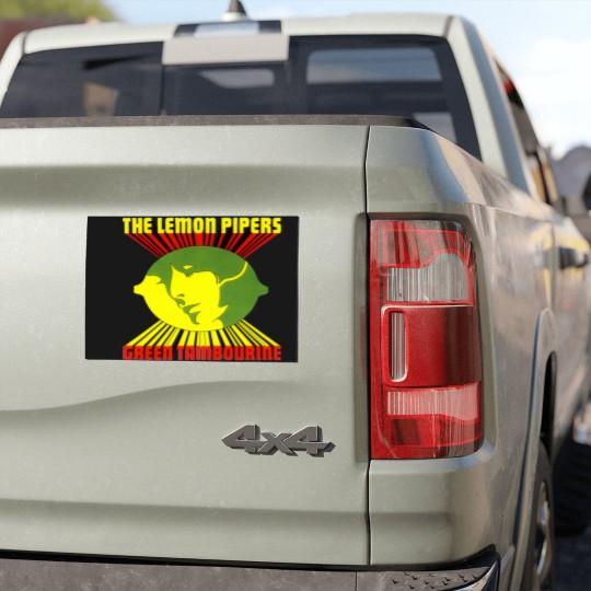 Discover Green Tambourine Car Magnets