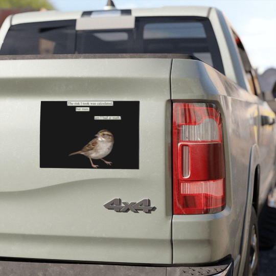 Discover The risk I took was calculated Car Magnets
