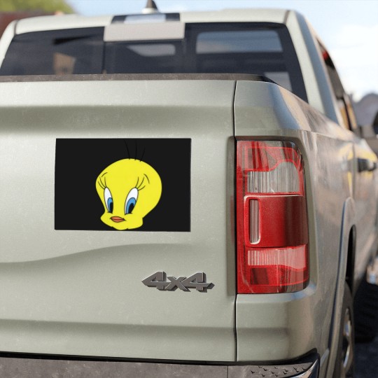 Discover Tweety Bird  gender neutral short sleeved Car Magnets