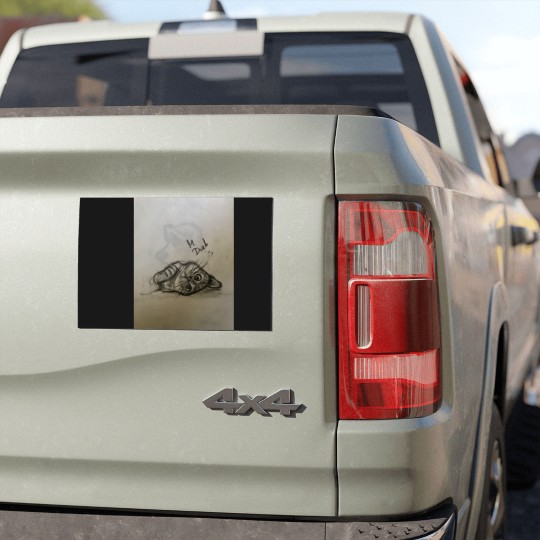 Discover Cat Refugee Car Magnets