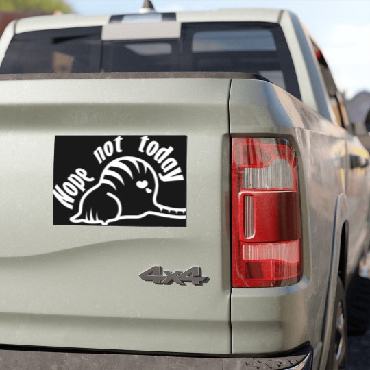 Discover Nope Not Today Cat Car Magnets