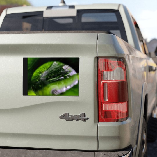 Discover Dew Drop Car Magnets