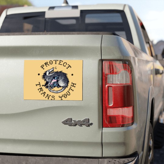 Discover Protect Trans Youth Possum Support Trangender LGBT Pride Car Magnets