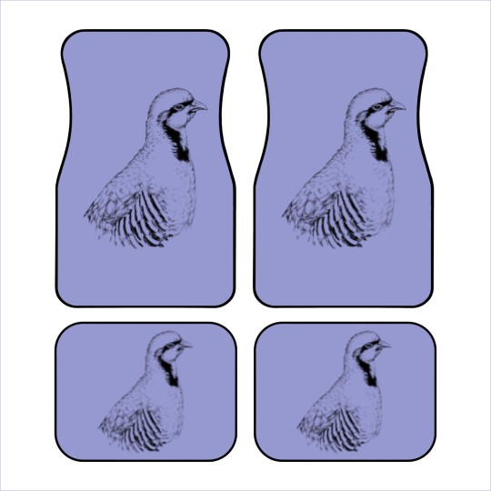 Discover Chukar partridge animal portrait (bright products) Car Mats