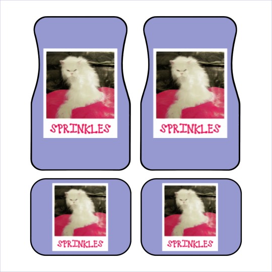 Discover Sprinkles the Cat - The Office - Car Mats