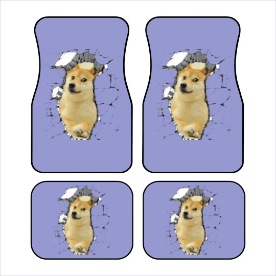 Discover Doge Car Mats