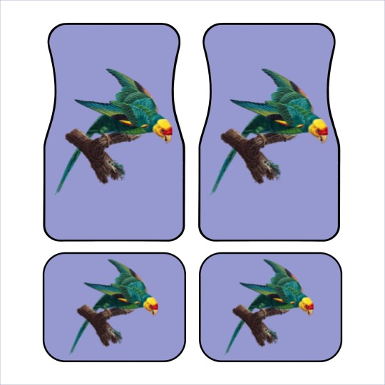 Discover Carolina parakeet Car Mats