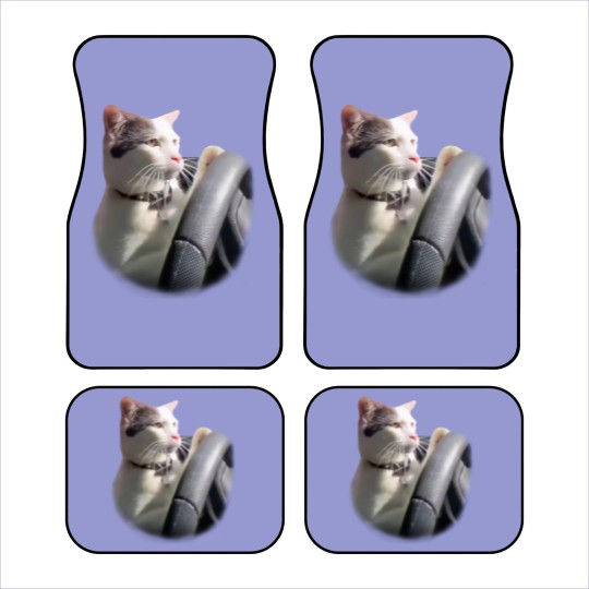 Discover Cat Driving A Car Instagram Katze Car Mats
